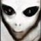 user_144568_avatar.jpeg