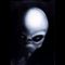 user_144568_avatar.jpg