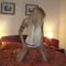 user_151700_avatar.jpg