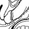 user_168649_avatar.jpg