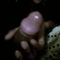 user_172963_avatar.JPG
