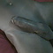 user_180861_avatar.jpg