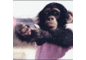 user_185999_avatar.gif