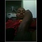 user_194615_avatar.jpg