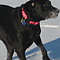 user_200437_avatar.jpg