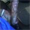 user_205056_avatar.jpg