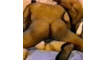 user_21275_avatar.GIF
