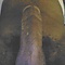 user_214752_avatar.jpg