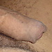 user_218902_avatar.JPG