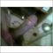user_219641_avatar.jpg