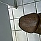 user_239502_avatar.jpg