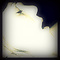 user_24325_avatar.jpg