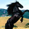 user_253858_avatar.jpg