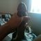 user_272175_avatar.jpg
