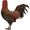 user_275040_avatar.JPG