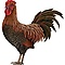 user_275040_avatar.jpg