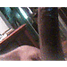 user_278387_avatar.gif