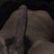 user_283275_avatar.jpg