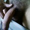 user_291430_avatar.jpg