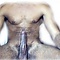 user_294509_avatar.jpg