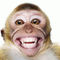 user_295356_avatar.jpg