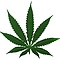 user_297790_avatar.jpg