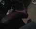 user_307951_avatar.jpg