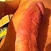 user_309655_avatar.jpg