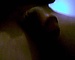 user_312278_avatar.JPG
