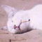 user_318060_avatar.jpg