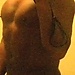 user_32087_avatar.JPG