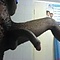 user_34114_avatar.jpg