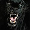 user_343941_avatar.jpg