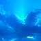 user_345235_avatar.jpg