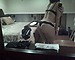 user_35227_avatar.bmp