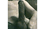 user_353240_avatar.gif