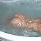 user_353827_avatar.JPG