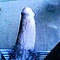 user_372957_avatar.jpg