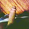 user_379482_avatar.jpg
