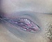 user_379685_avatar.jpg
