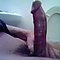 user_386700_avatar.jpg