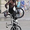 user_387778_avatar.jpg