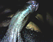 user_416470_avatar.bmp