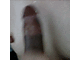 user_425586_avatar.gif