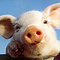 user_430520_avatar.jpg