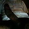 user_439254_avatar.jpg