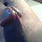 user_458423_avatar.jpg
