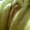 user_469774_avatar.jpg