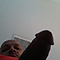 user_486325_avatar.jpg