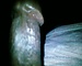 user_511242_avatar.jpg